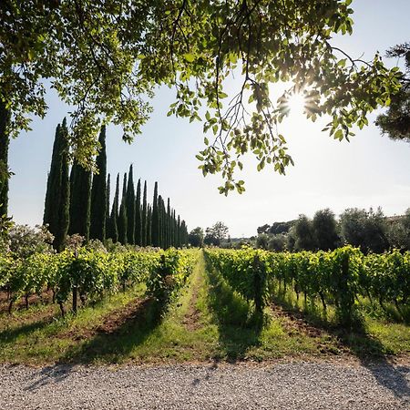 Agriturismo Tra Gli Ulivi, Chiappini Winery Болгери Экстерьер фото