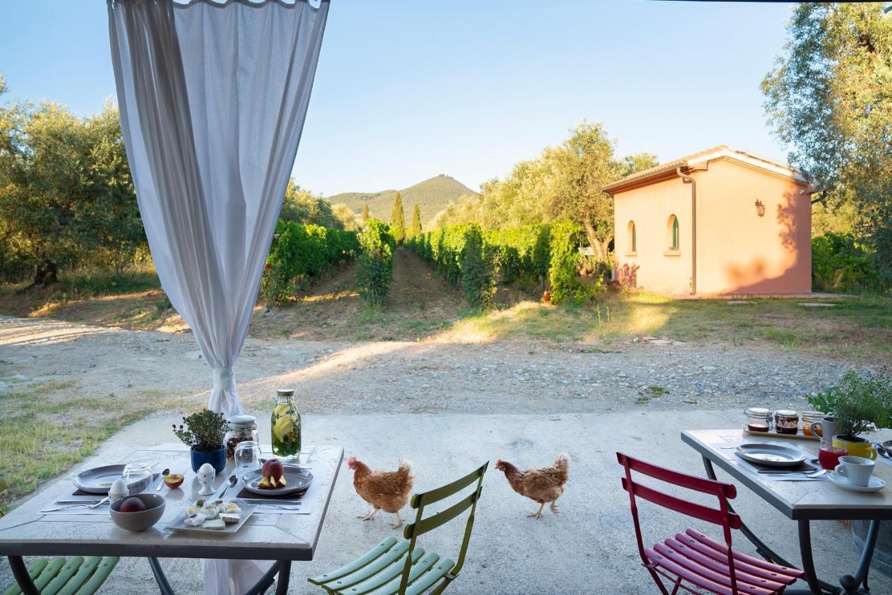 Agriturismo Tra Gli Ulivi, Chiappini Winery Болгери Экстерьер фото