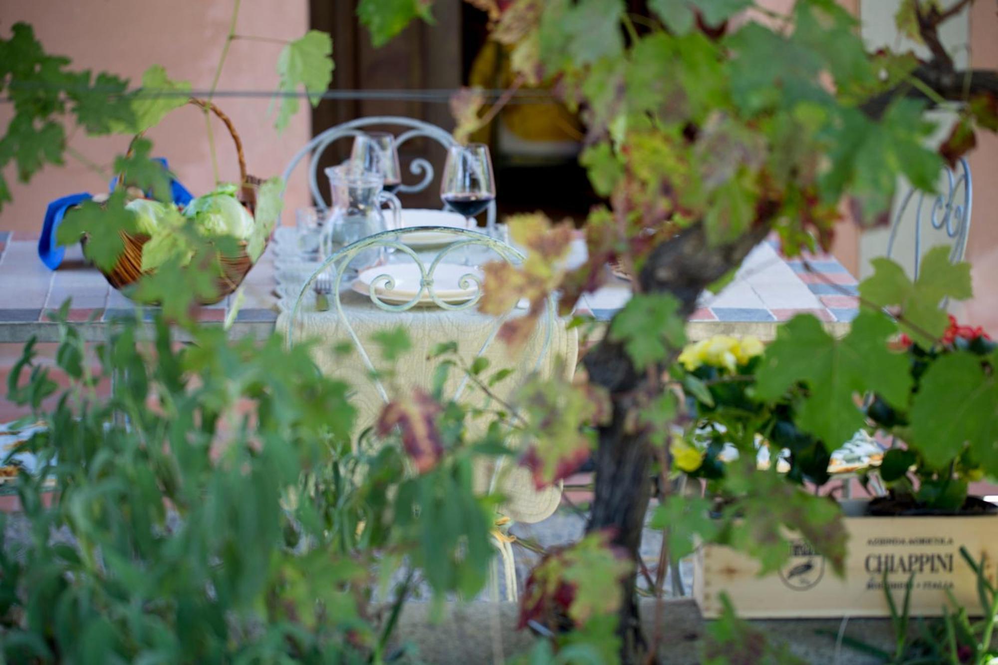 Agriturismo Tra Gli Ulivi, Chiappini Winery Болгери Экстерьер фото