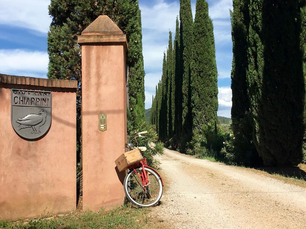 Agriturismo Tra Gli Ulivi, Chiappini Winery Болгери Экстерьер фото