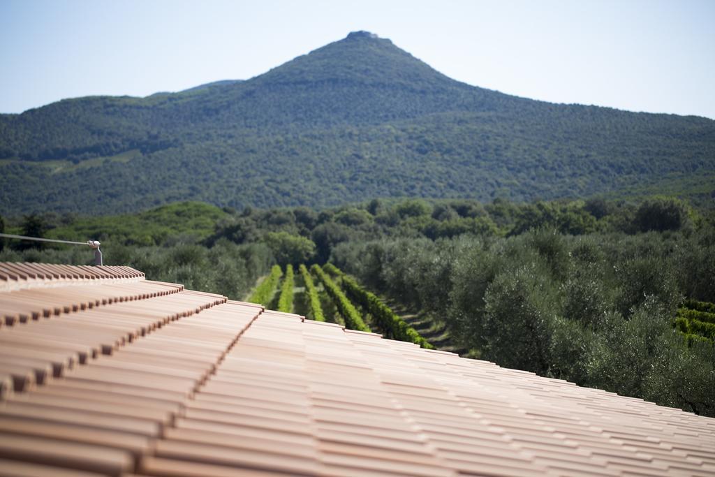 Agriturismo Tra Gli Ulivi, Chiappini Winery Болгери Экстерьер фото