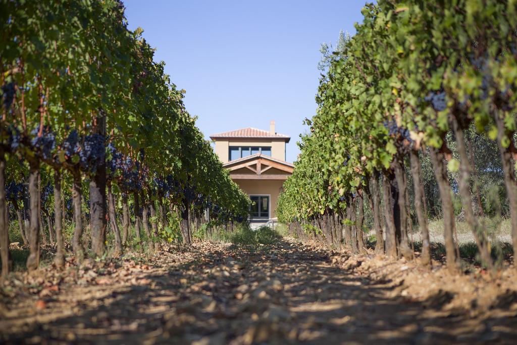 Agriturismo Tra Gli Ulivi, Chiappini Winery Болгери Экстерьер фото