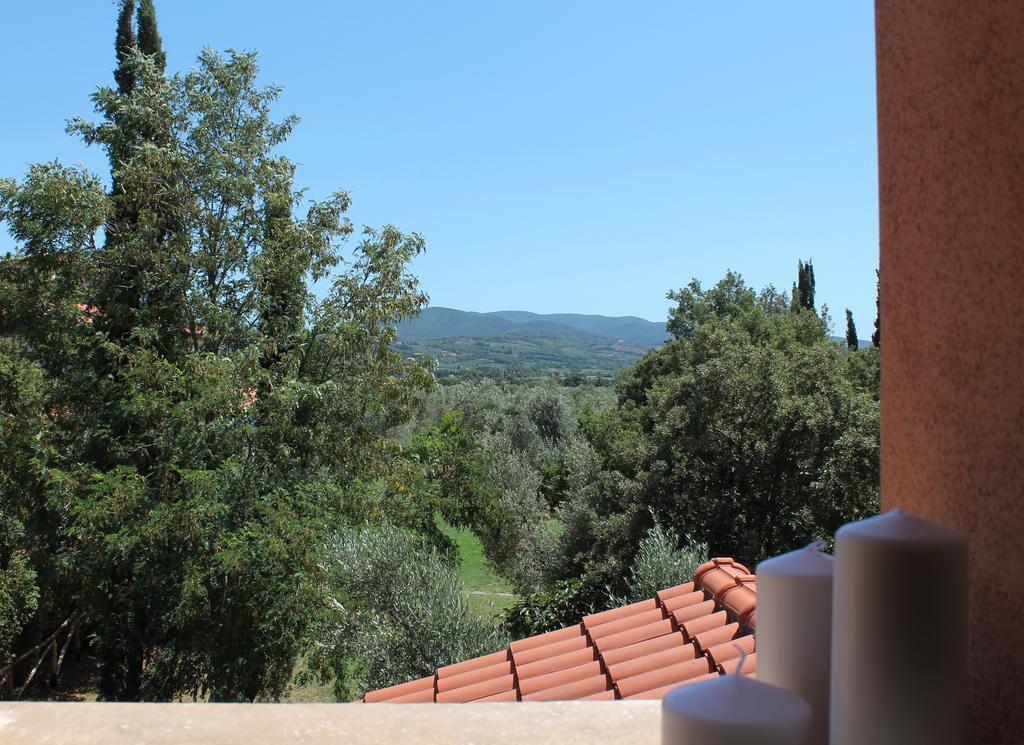 Agriturismo Tra Gli Ulivi, Chiappini Winery Болгери Экстерьер фото